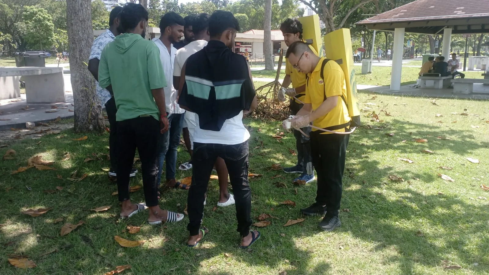 Lipton Tea roadshow