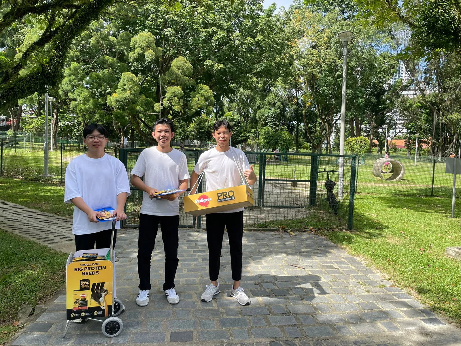 Pet product outdoor sampling